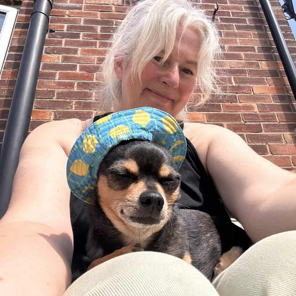 Doggy daycare Chelmsford, Springfield, Great Baddow, Chelmer Village, Writtle, Galleywood, Broomfield The Avenues, Moulsham Doggy daycare Chelmsford, Springfield, Great Baddow, Chelmer Village, Writtle, Galleywood, Broomfield The Avenues, Moulsham