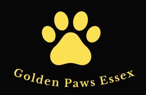 Golden Paws Essex
