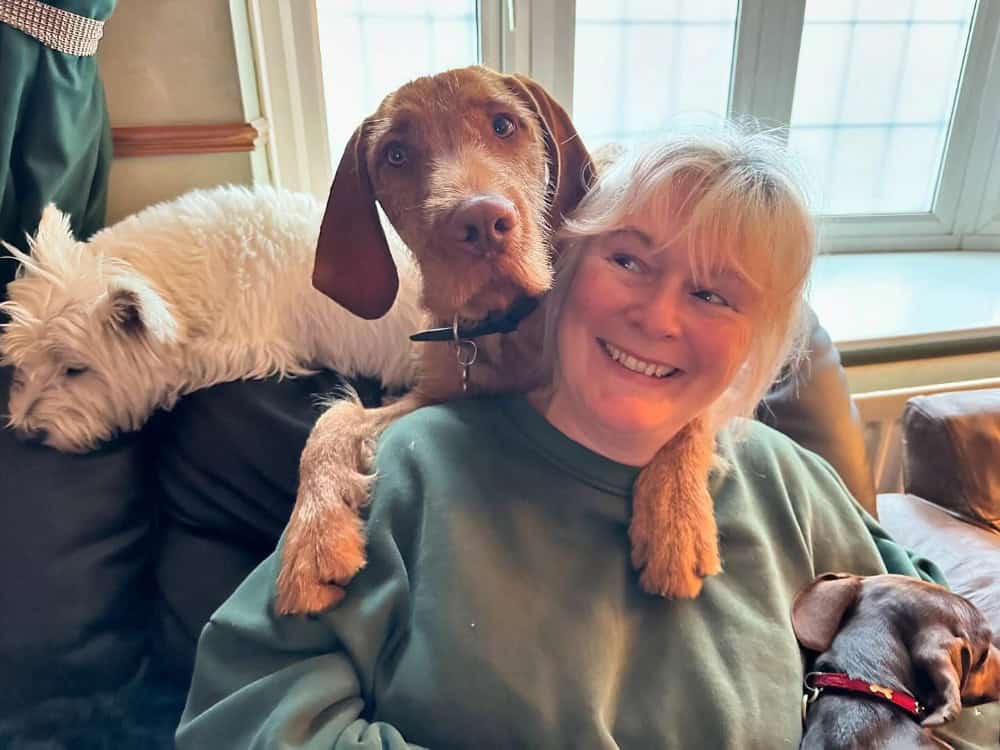 Lovely Sarah from Golden Paws Chelmsford Essex Lovely Sarah from Golden Paws Chelmsford Essex
