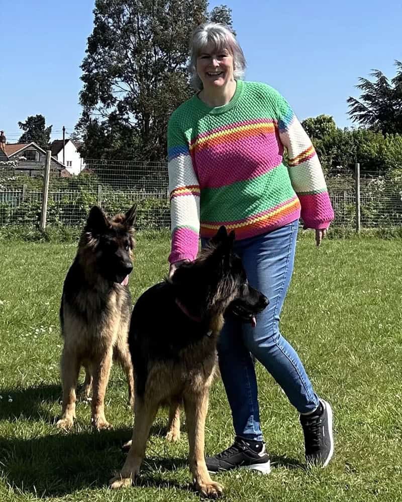 dog boarding and doggy dacyare Chelmsford, Springfield, Great Baddow, Chelmer Village, Writtle, Galleywood, Broomfield The Avenues, Moulsham dog boarding and doggy dacyare Chelmsford, Springfield, Great Baddow, Chelmer Village, Writtle, Galleywood, Broomfield The Avenues, Moulsham