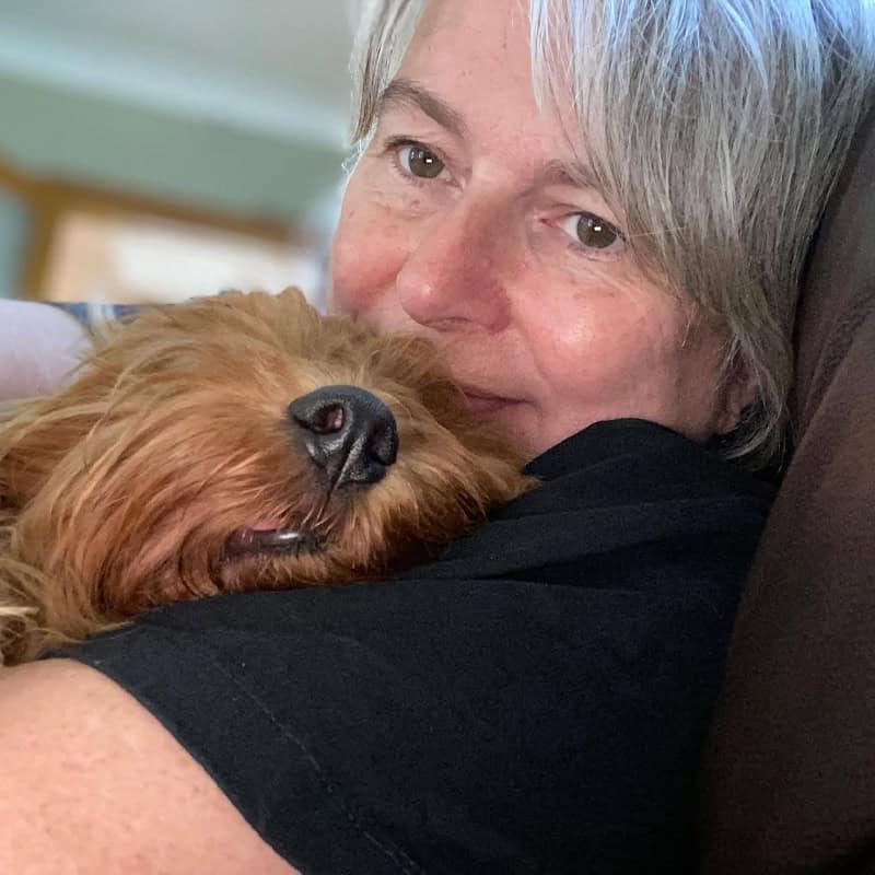 licensed home dog boarding Chelmsford, Springfield, Great Baddow, Chelmer Village, Writtle, Galleywood, Broomfield The Avenues, Moulsham Essex