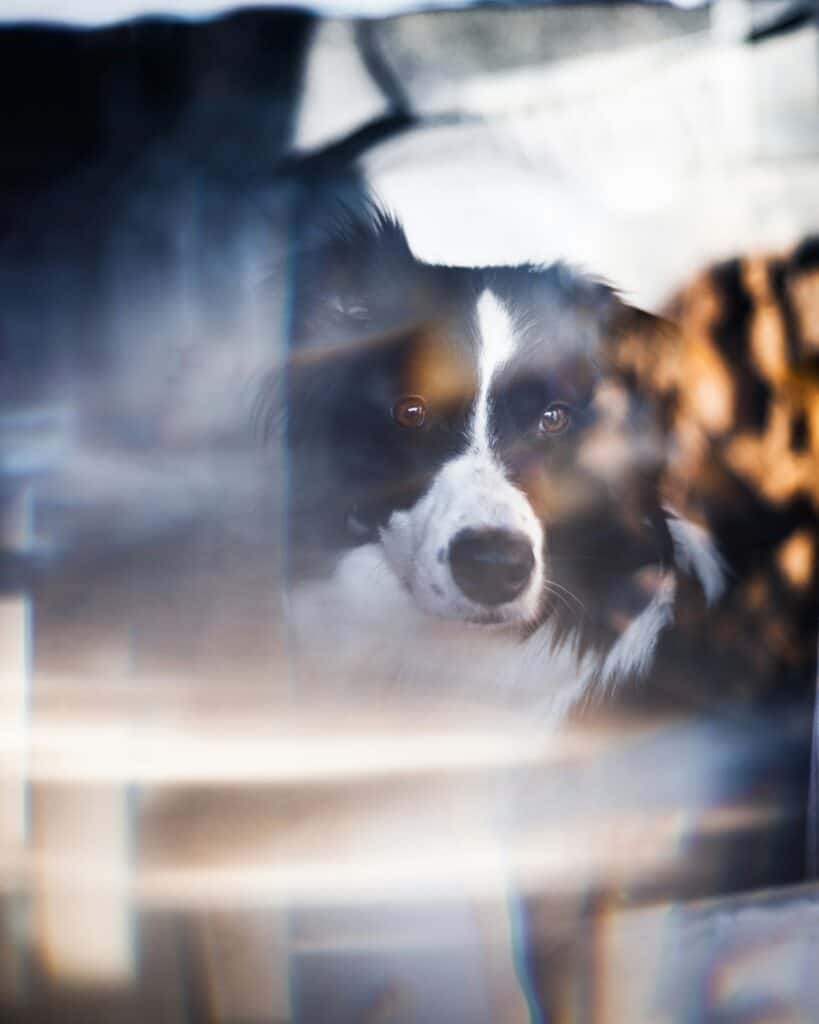 kasper rasmussen DTyPTrGrRo0 unsplash