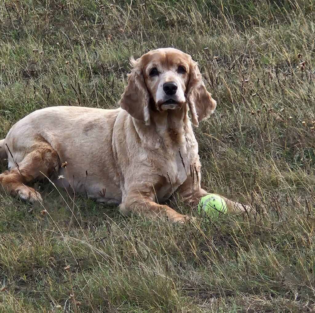 Elsie - Photo by Ben Spencer