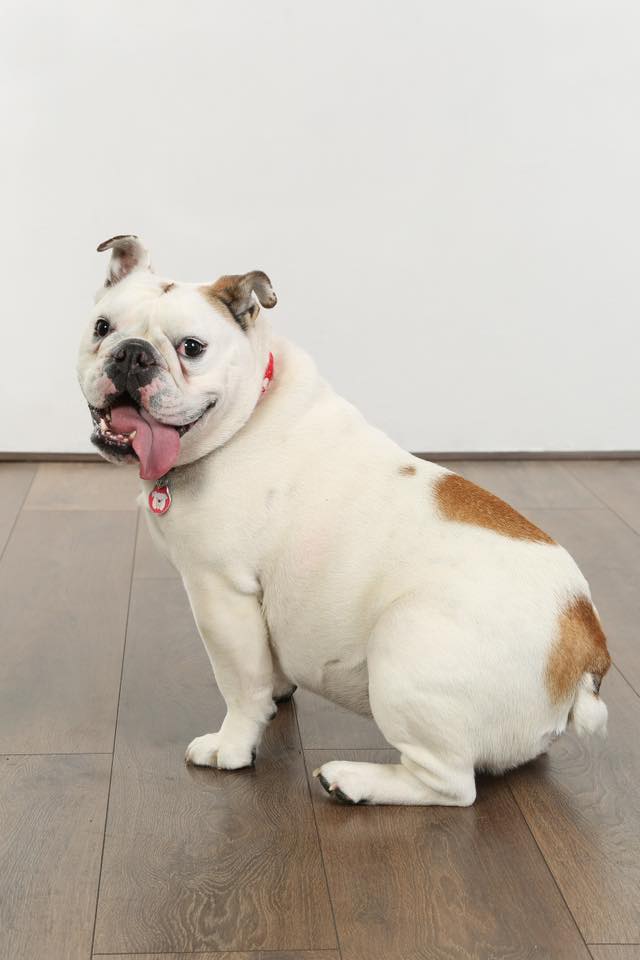 Bella - Photo By Jessica Wells