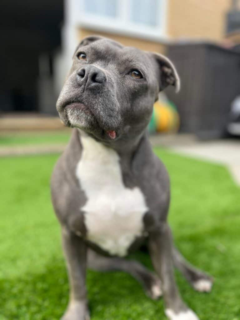 WhatsApp Image 2025 12 31 at 13.09.27 (4)