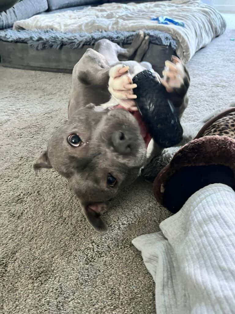 WhatsApp Image 2025 12 31 at 13.09.28