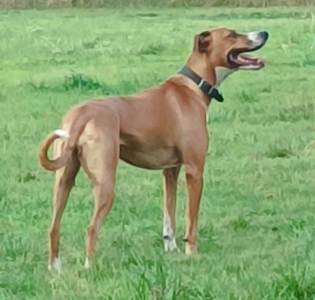 605696164 10162559549402809 4066263815680919879 n