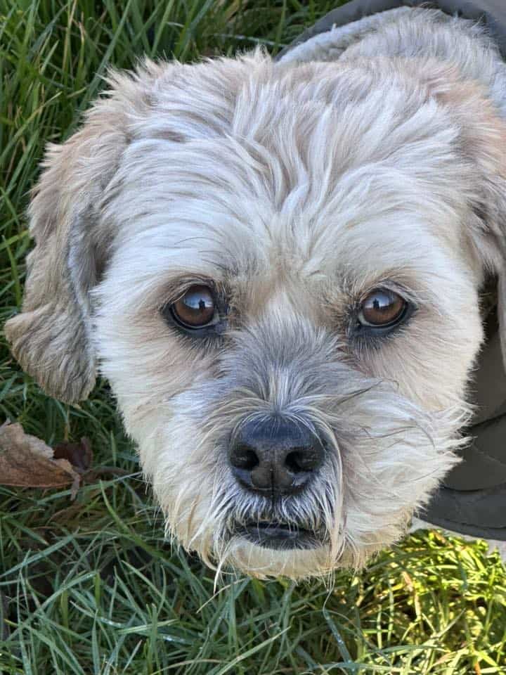 606477920 10235724913676724 3756860980466873464 n