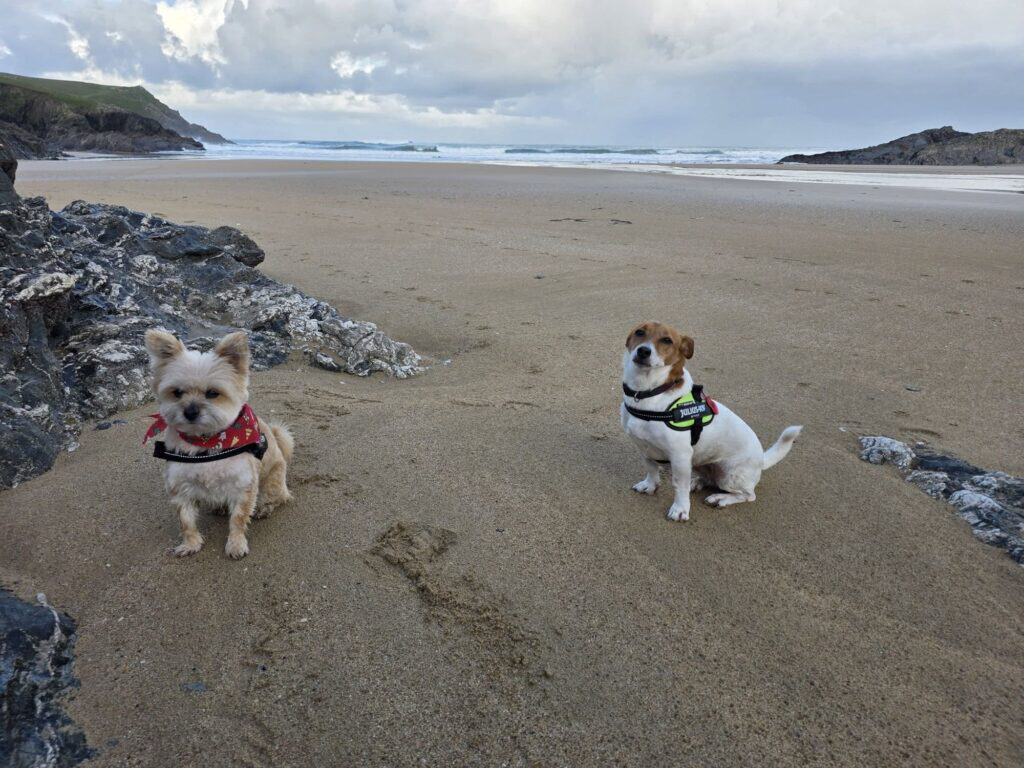 608431767 10161934802272190 8493878481263821965 n